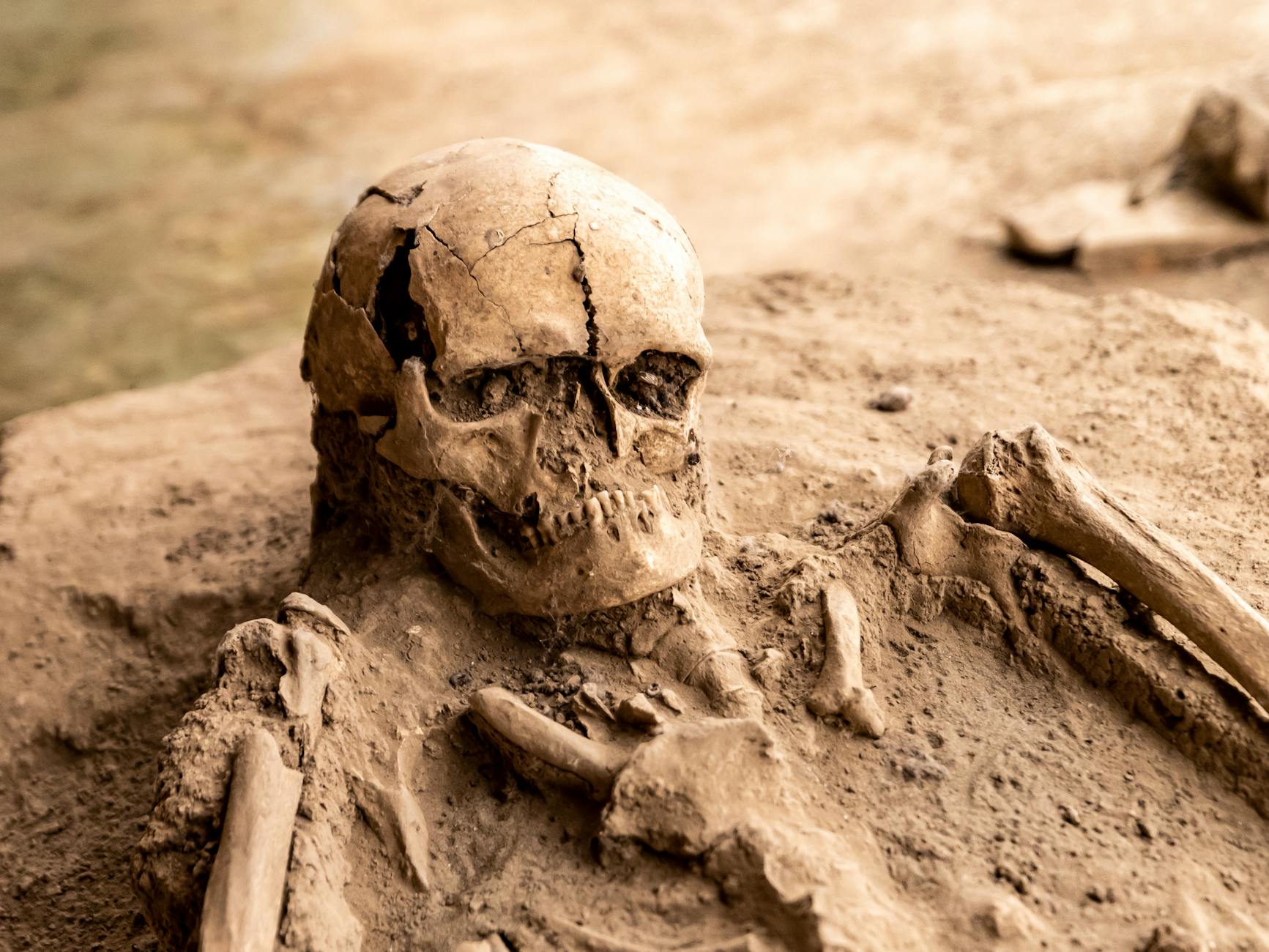 Esqueleto humano antigo descoberto em escavação arqueológica representando os ancestrais cujo DNA está sendo analisado