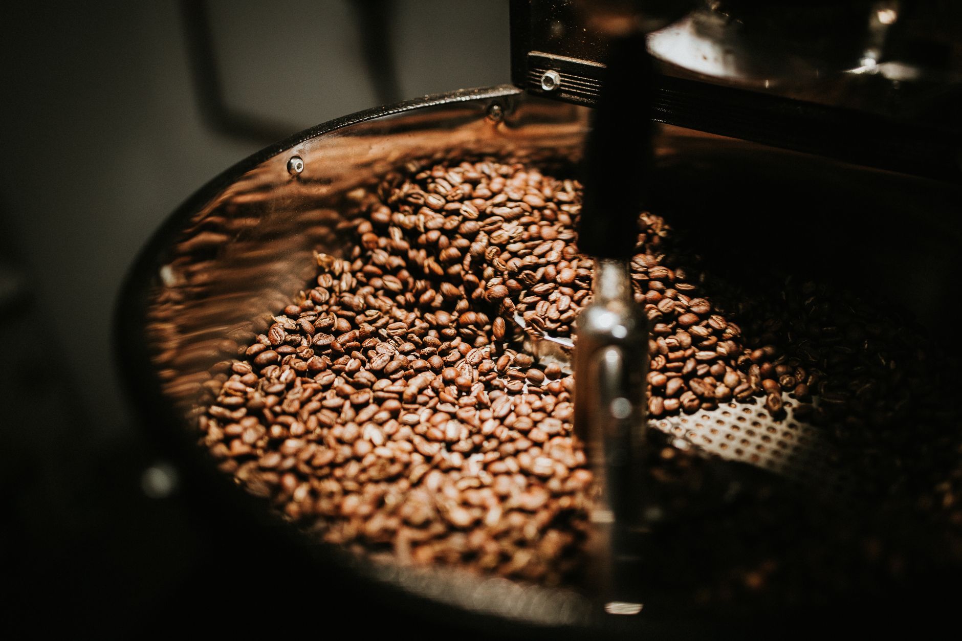 Grãos de café torrados espalhados, fonte natural de cafeína metabolizada pela enzima CYP1A2