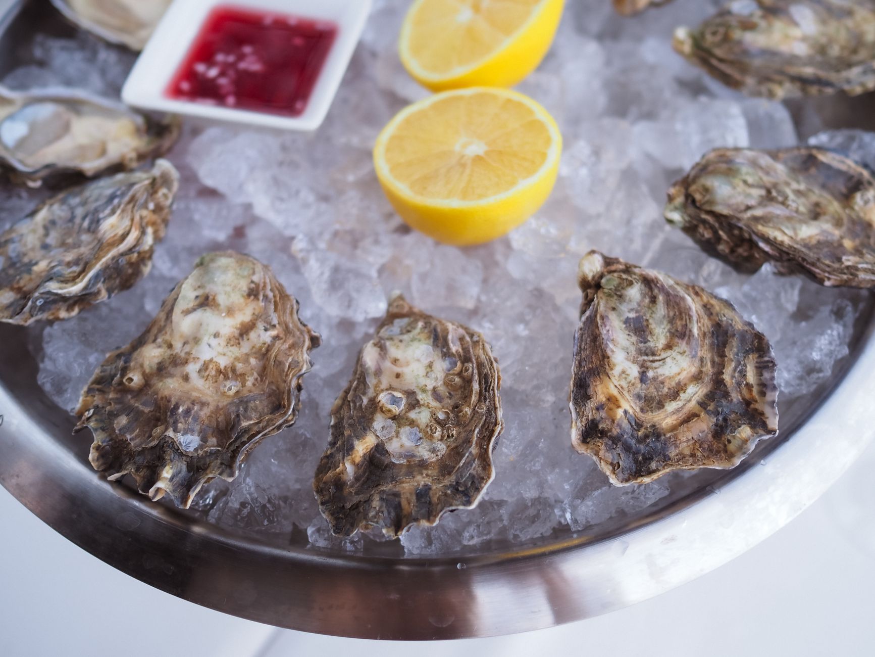 Frutos do mar como ostras e mariscos, alimentos extremamente ricos em cobre