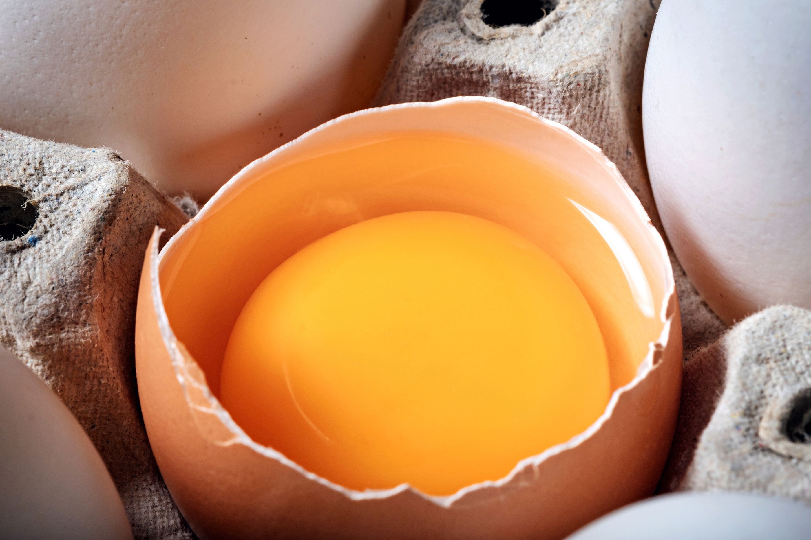 Gema de ovo dourada de perto, a fonte alimentar mais rica em colina