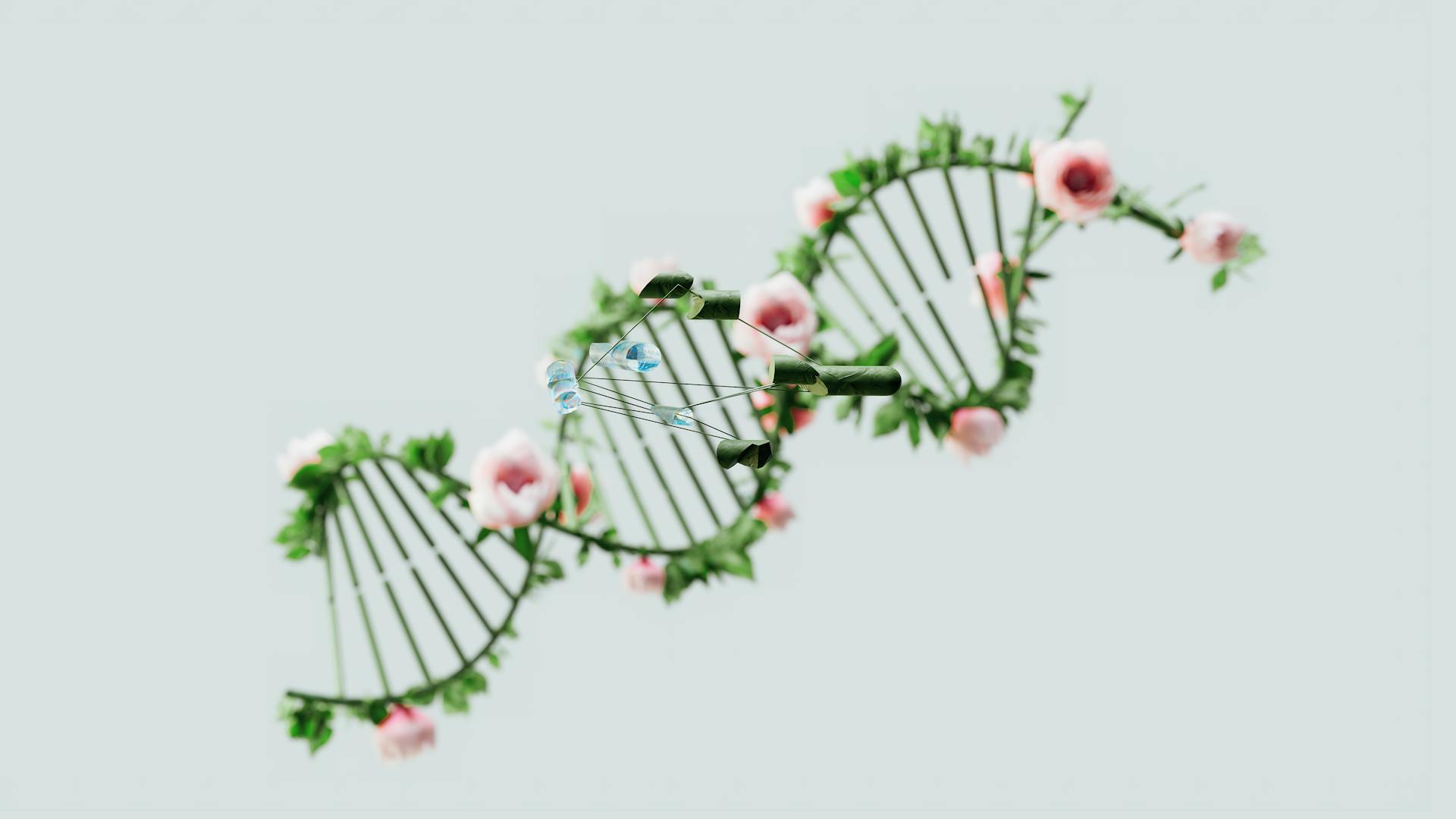 DNA helix com rosas — Câncer de Mama e Genética