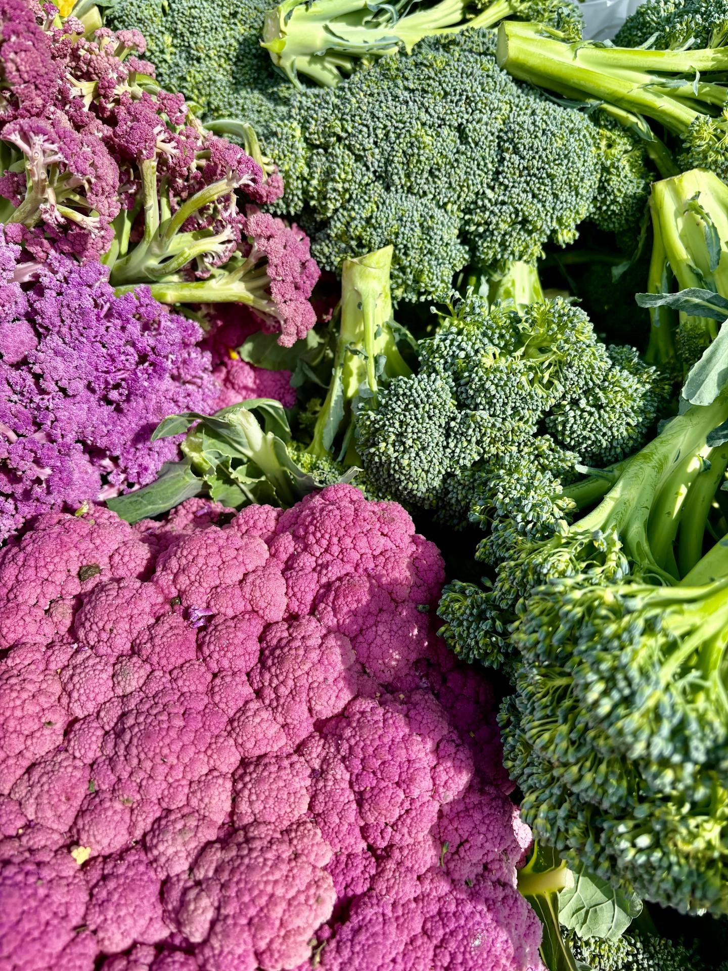 Vegetais ricos em fibras — Câncer Colorretal e Genética