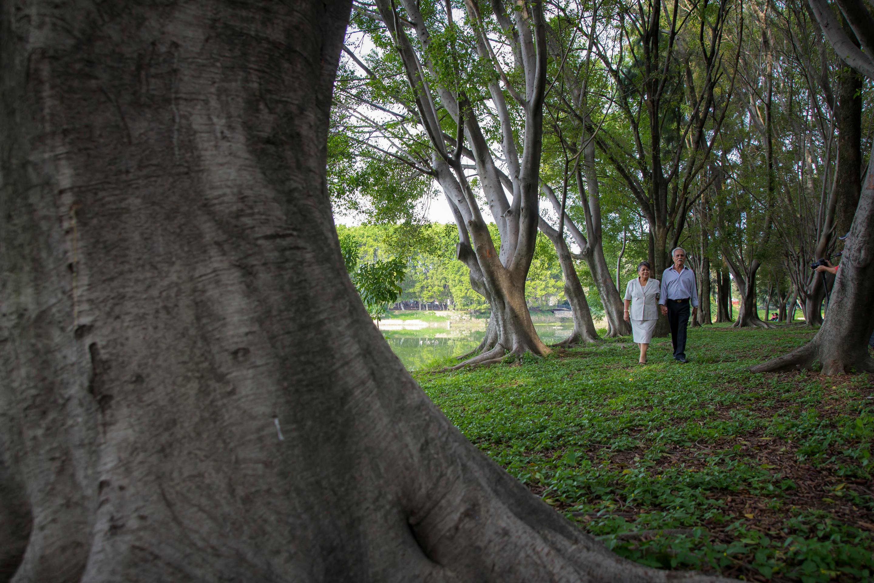 Casal de idosos caminhando juntos em um parque